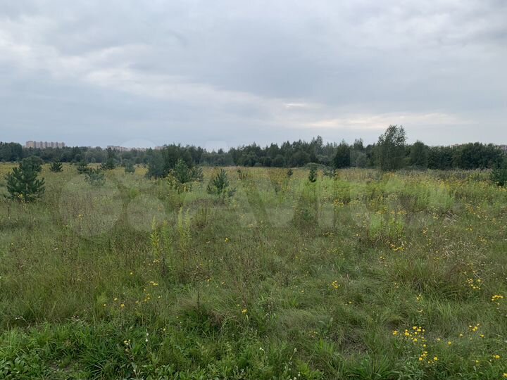 Участок 6 сот. (ИЖС)