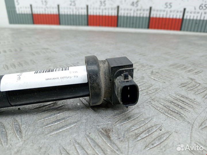 Катушка зажигания для Hyundai-KIA Carens 2 (UN)