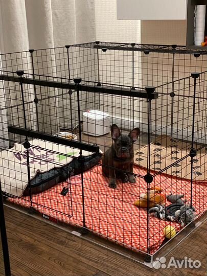 Клетка-секции, сборная, большая, 36 секций