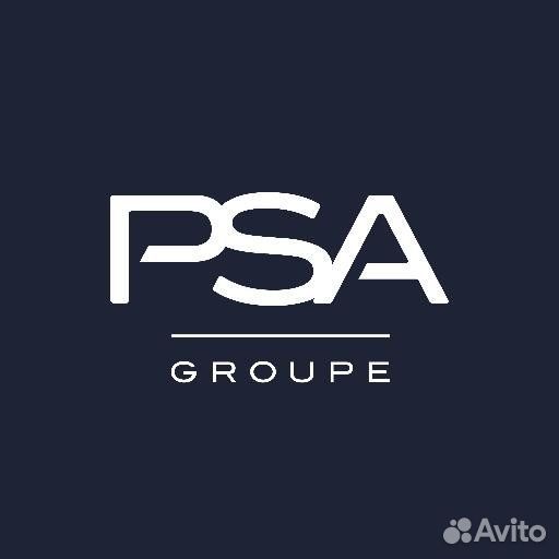 Peugeot-citroen 9814538480 Пружина