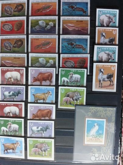 Чистые марки 