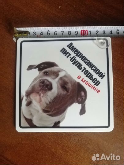 Пит-бультерьер (табличка)