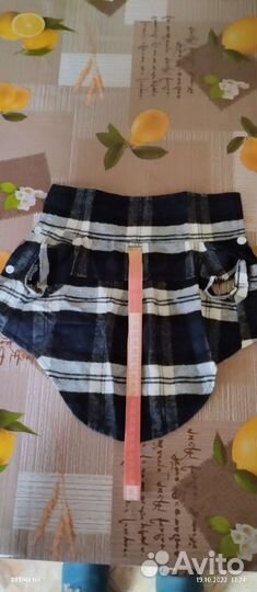 Одежда для собак