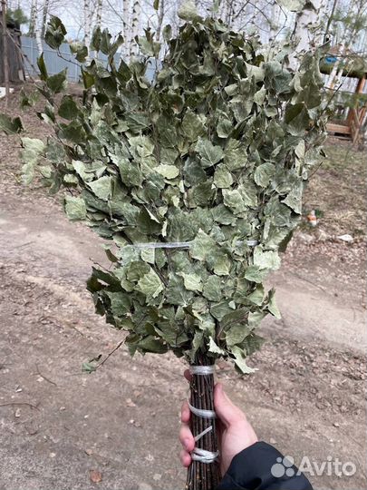 Веники березовые оптом