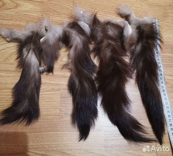 Хвост енотовидной собаки,куницы каменки 4 шт