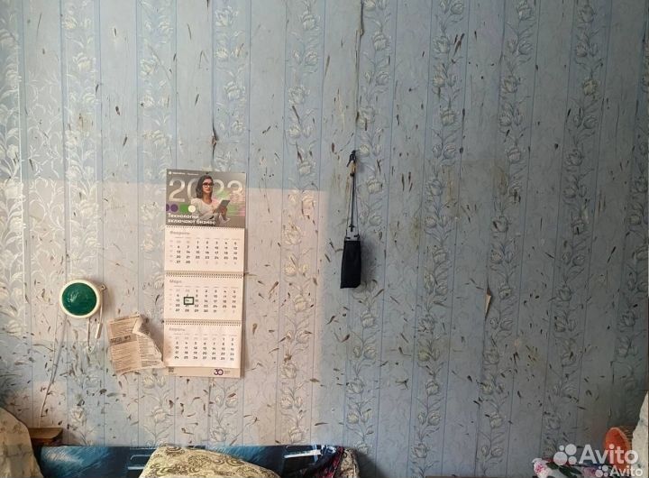 От клопов тараканов мышей блох запаха плесени