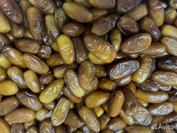 Финики алжир