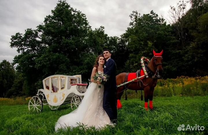 Конные прогулки