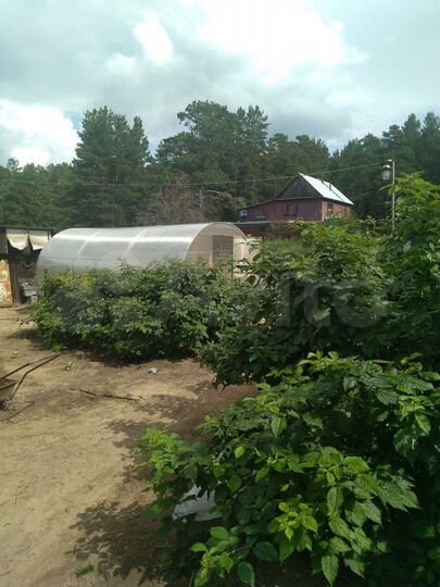 Дом 40 м² на участке 15 сот.