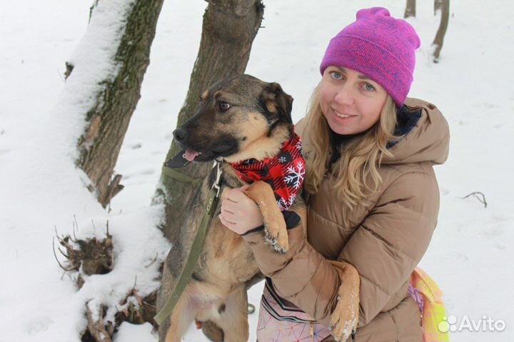 Лукас-самый лучший песик ищет дом