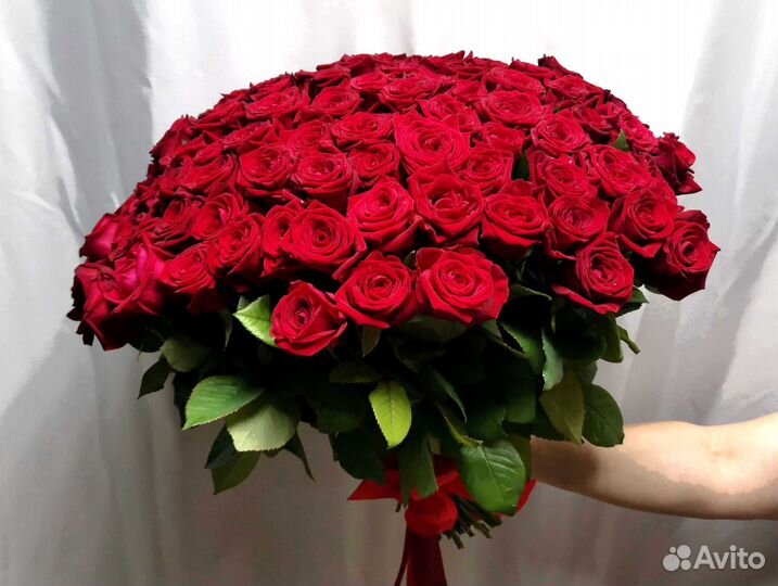 Букет роз. Розы 101 шт