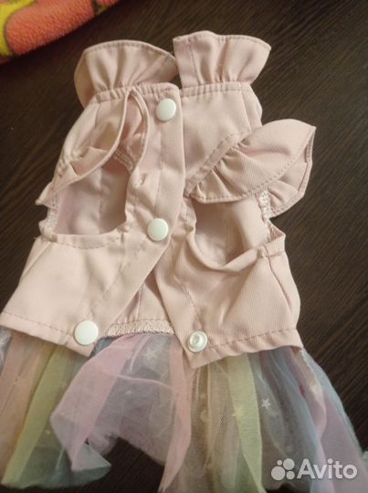 Одежда для маленьких собак