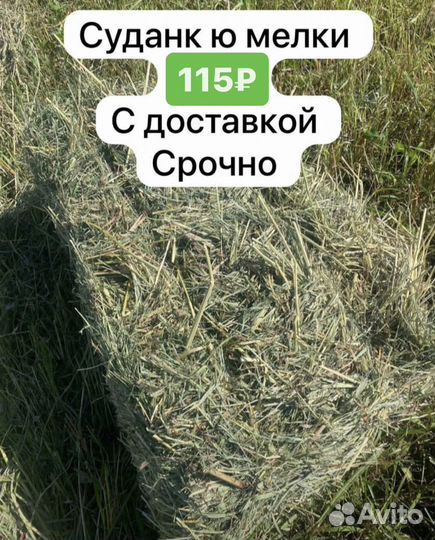 Сено в тюках