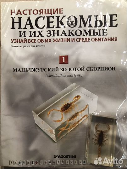 Журналы настоящие насекомые