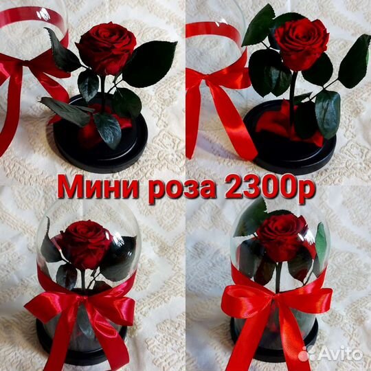 Живая роза в колбе