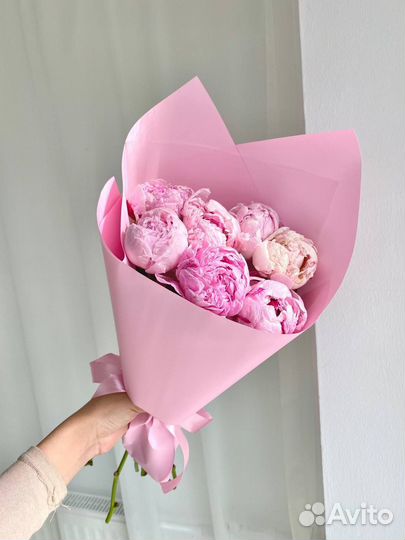 Нежные пионы Голландия