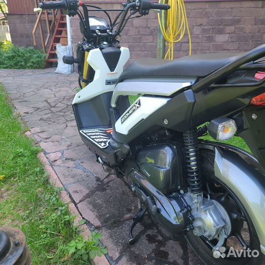 Хонда zoomer x110