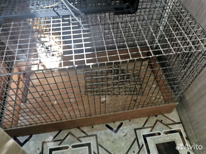 Клетка для кролика, грызунов, попугая