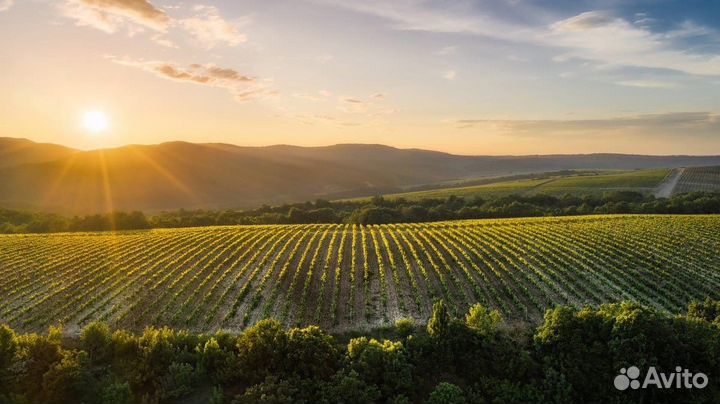 Экскурсия на Глебовское водохранилище
