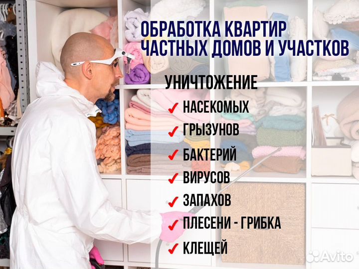 Уничтожение тараканы, клопы, мухи, клещи