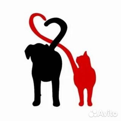 Груминг - стрижка и уход (собаки до 10 кг)