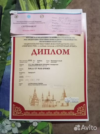 Немецкая овчарка кобель для вязки