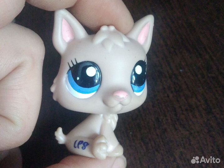 Littlest Pet Shop