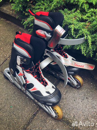 Ролики Cougar Cheelby Black