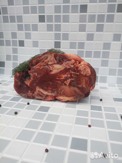 Мечта питомца