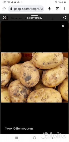 Мешок картошки