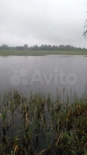 Участок 12,7 сот. (ИЖС)