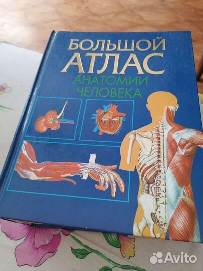 Большой атлас анатомии человека