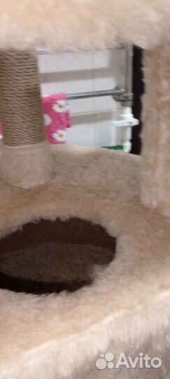 Домик когтеточка