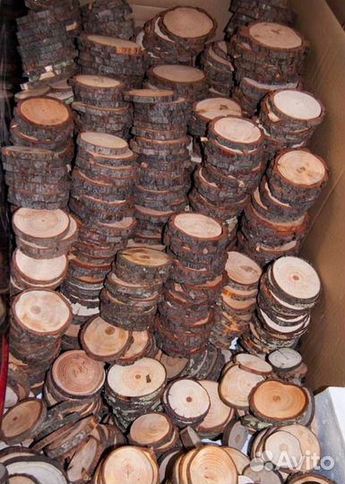Спилы срезы из ствола дерева