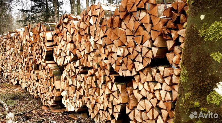 Дрова Ольховые