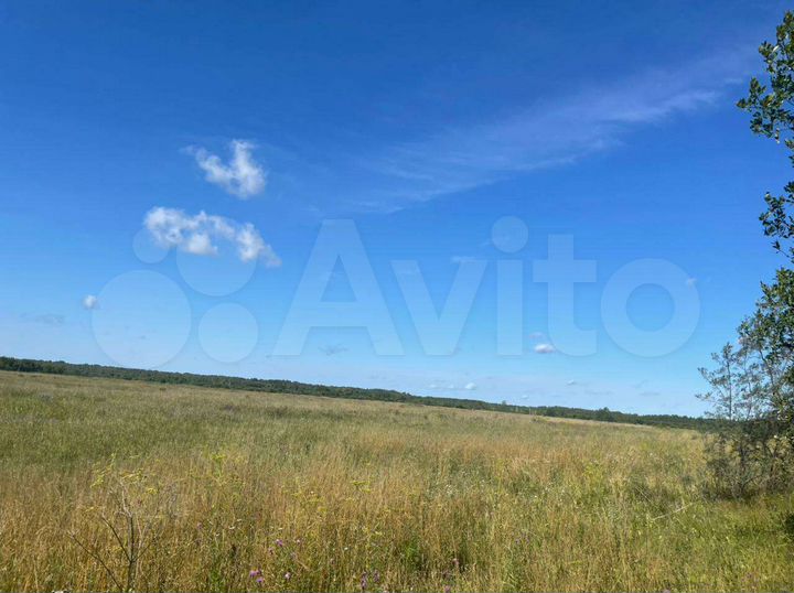 Участок 534,36 га (СНТ, ДНП)