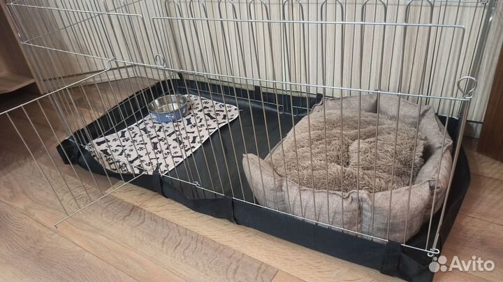 Вольер для собак + дно под вольер