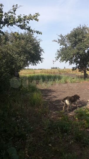 Участок 23 сот. (ИЖС)