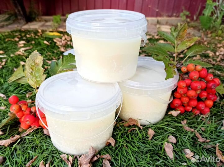 Барсучий жир от охотника