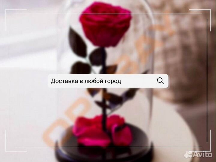 Роза в колбе. От производителя