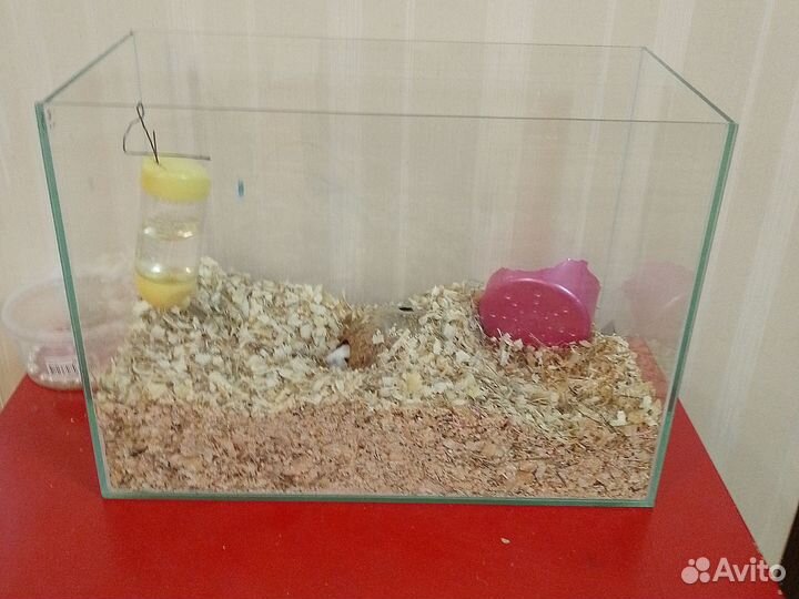Аквариум