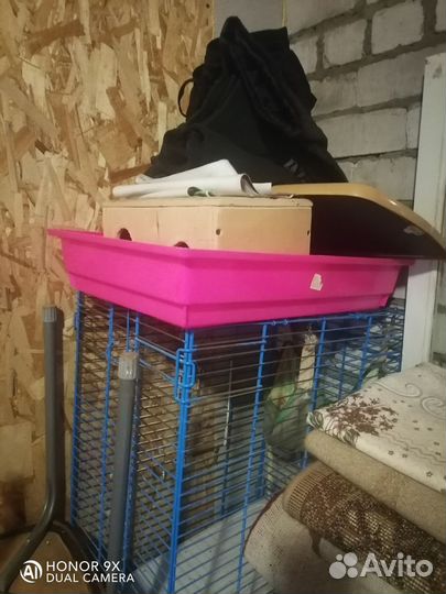 Клетка для шиншиллы бу