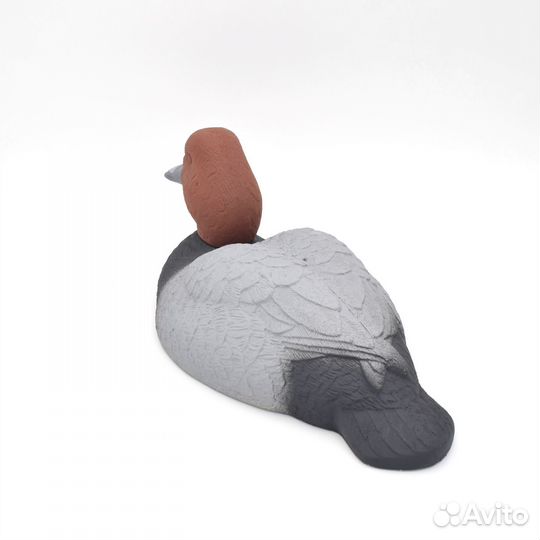 Чучела уток Красноголовый нырок для охоты