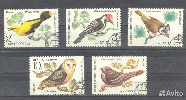 Фауна-часть 5(И марки по другим темам.)