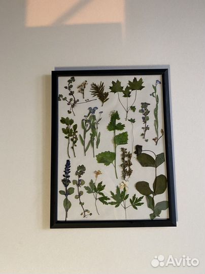 Панно из сухоцветов