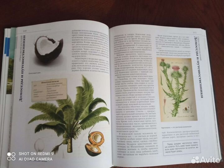 Энциклопедии подарочный вариант. Цена за 1 книгу