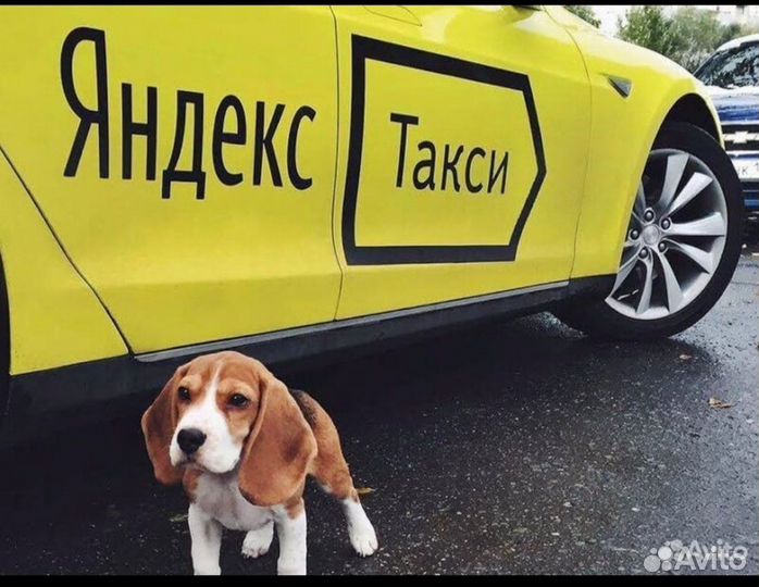 Подключение к Яндекс