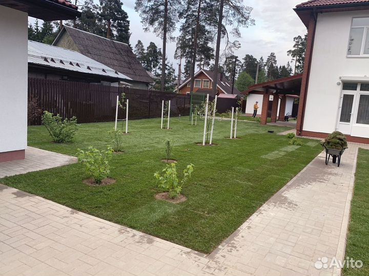 Рулонный газон