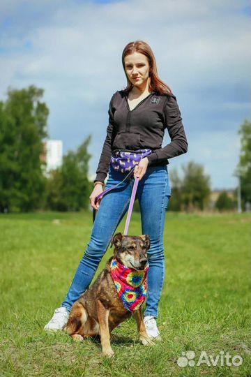 Магда ищет дом