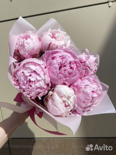 Букет из 7 пионов в нежном оформлении